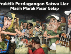 Praktik Perdagangan Satwa Liar Masih Marak di Pasar Gelap